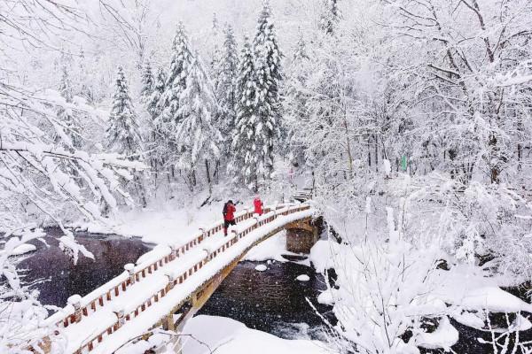吉林有個小縣城：人參當蘿蔔賣，東北三寶要啥有啥
