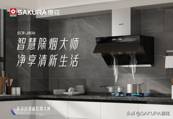 櫻花煙灶聯動套裝,助力智慧烹飪生活 櫻花煙灶聯動套裝,助力智慧烹飪生活