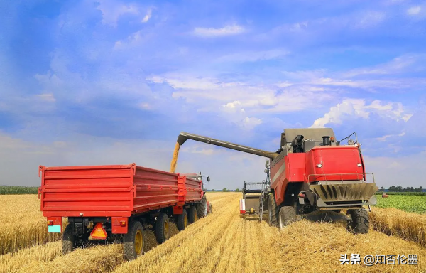 2021年打算辭職回農村的，可以試試這3個專案，小投資，高收入