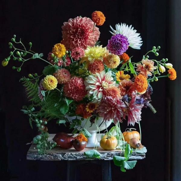 植庫‖豐富多彩的大麗花竟被冠為慘案之名？