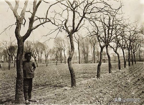 商人出門做生意,途中救下少年,引來殺身之禍,告誡世人好人難當 商人出門做生意,途中救下少年,引來殺身之禍,告誡世人好人難當