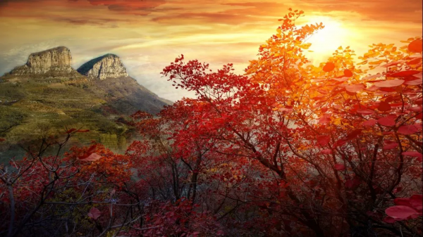 靈山秀水,漫山紅葉......一到深秋,這個被人遺忘的世外桃源又美成仙! 靈山秀水,漫山紅葉......一到深秋,這個被人遺忘的世外桃源又美成仙!