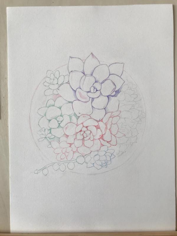 多肉植物彩鉛畫全過程(1-1) 多肉植物彩鉛畫全過程(1-1)