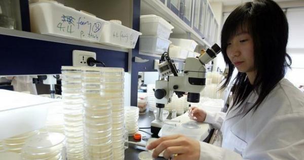 清華畢業的高材生，離校後都去哪“高就”了？學生的選擇讓人驚喜