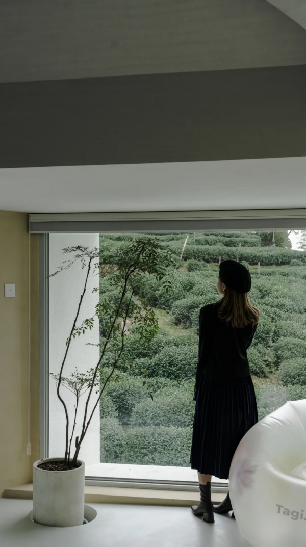 杭州民宿圈又一新作!270°落地玻璃躺看茶園,私享西湖邊避世秘境 杭州民宿圈又一新作!270°落地玻璃躺看茶園,私享西湖邊避世秘境