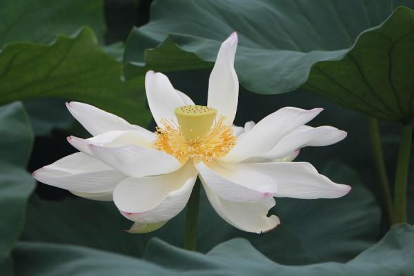 最有好爸爸潛質的4個星座，凡事都以身作則，營造良好的家庭氛圍