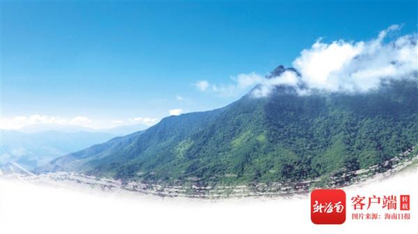 跟隨護林員走進海南鸚哥嶺，一起探秘巡山護林生活