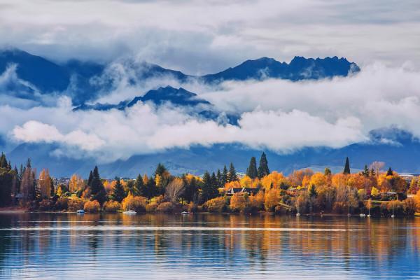 更年期心煩失眠，張仲景名方泡水喝，養血養心，睡眠一天天好
