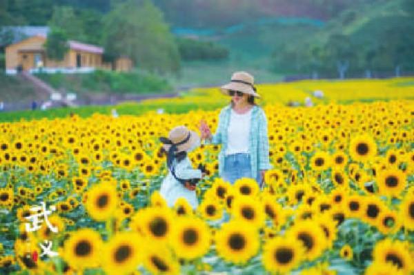 「馬蜂窩@藍先生隨行記」從非遺到田野,開啟“童話武義”自然研學之旅 「馬蜂窩@藍先生隨行記」從非遺到田野,開啟“童話武義”自然研學之旅