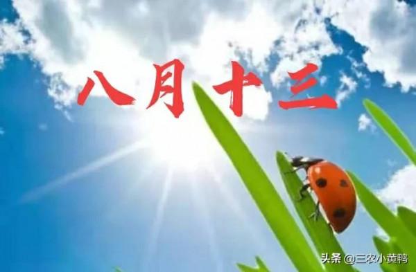 2021年下半年雨水多嗎？就看八月十三天氣，老祖宗農諺能預兆