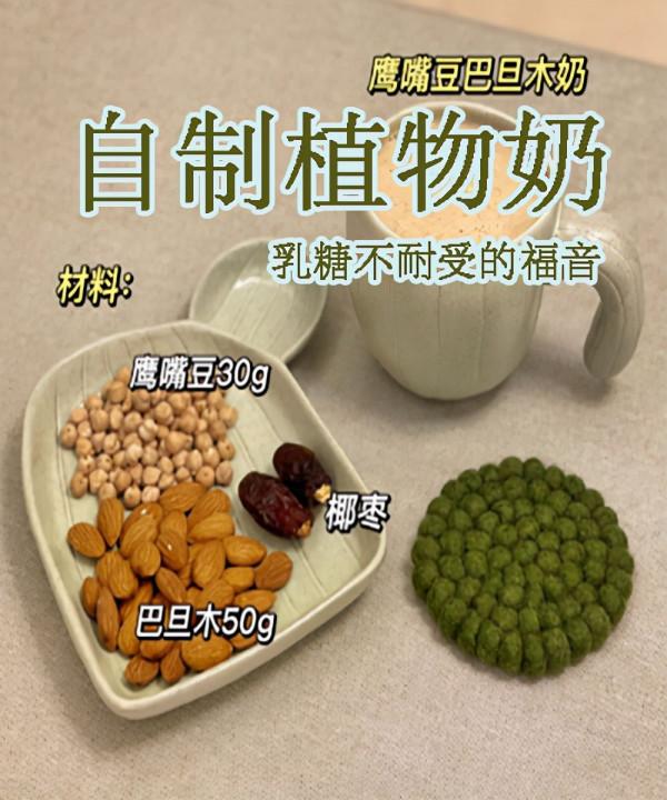 自制植物奶,乳糖不耐受姐妹的福音 自制植物奶,乳糖不耐受姐妹的福音
