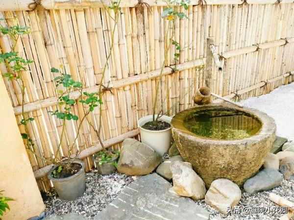 70後文藝大叔，用6年建400㎡院子，每天喝茶做飯，瀟灑生活