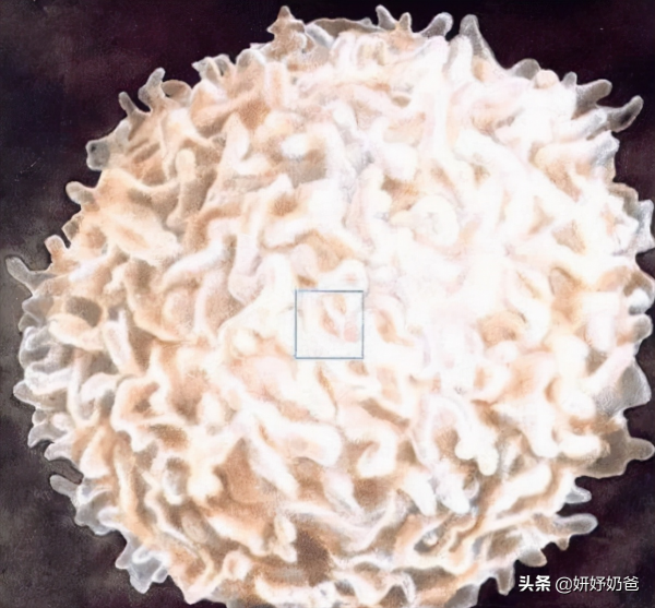 讓人感到震撼的圖片