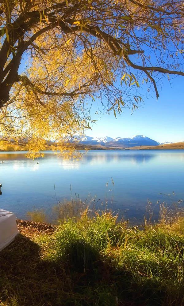 微型小說：小意思