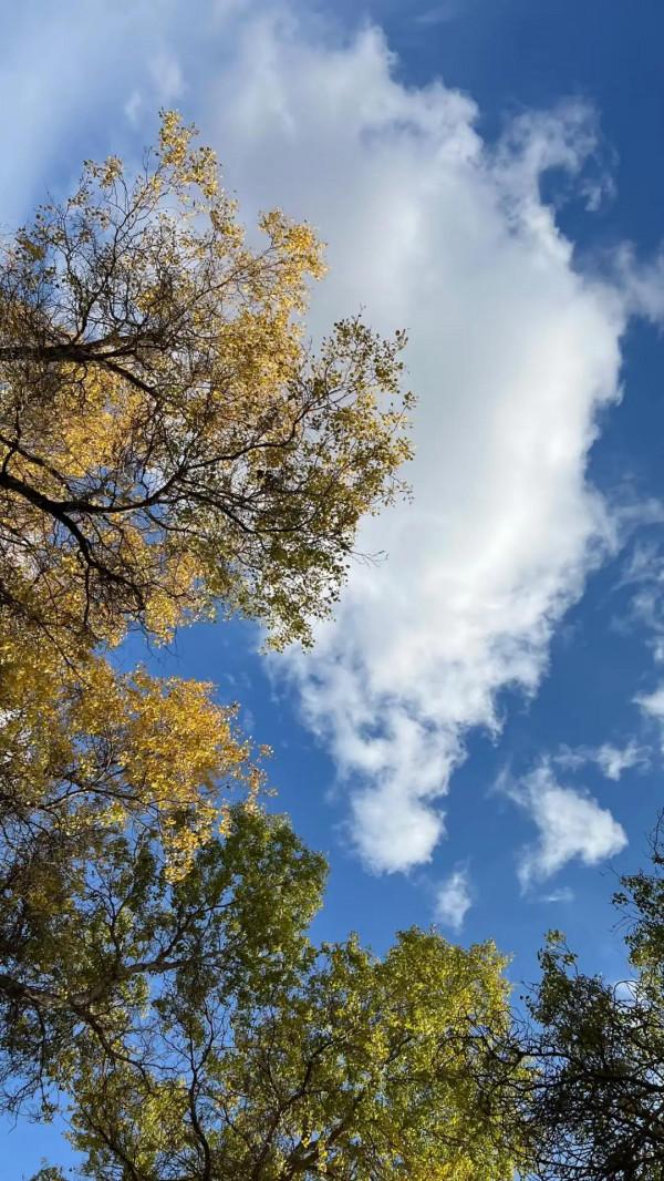天空如此美麗 -新疆•胡楊林 天空如此美麗 -新疆•胡楊林