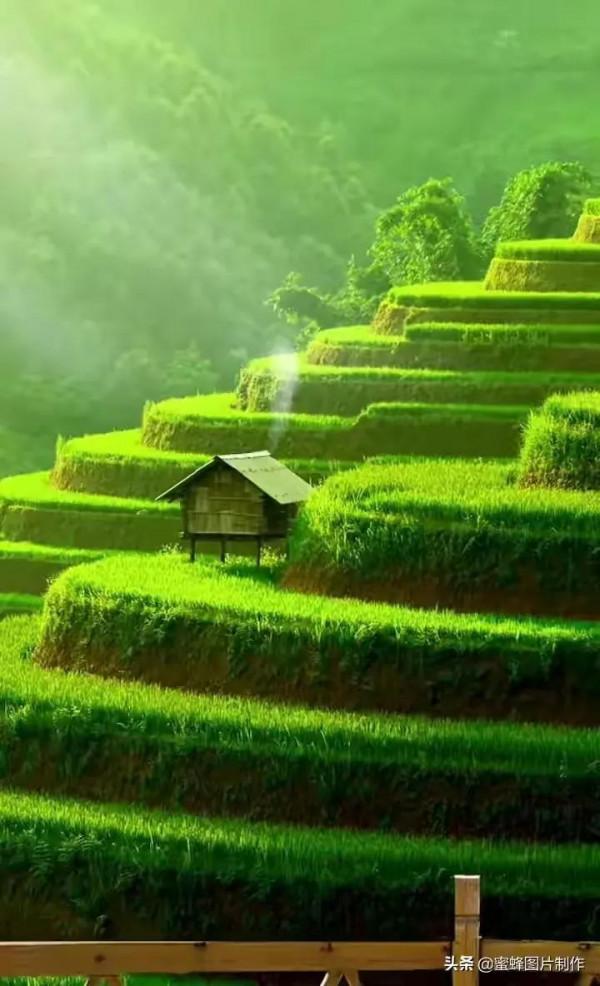 美麗的梯田 美麗的梯田