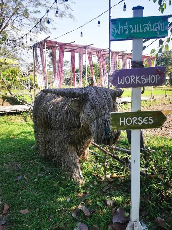 清邁日常｜親近大自然的美好時光