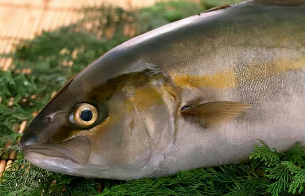 這三種魚肉中，或含有重金屬和甲醛，建議儘量少吃