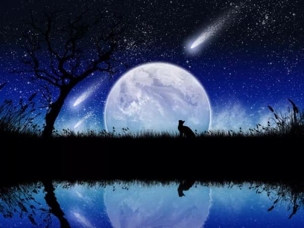 【與妳一起看流星雨】