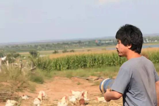 13萬打造6畝新雞場,養雞1千隻,收入未知,養雞人李丹寧決定南下 13萬打造6畝新雞場,養雞1千隻,收入未知,養雞人李丹寧決定南下