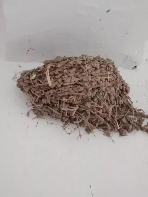 燕子冬天夏天，南北方來回飛，實在是太辛苦了