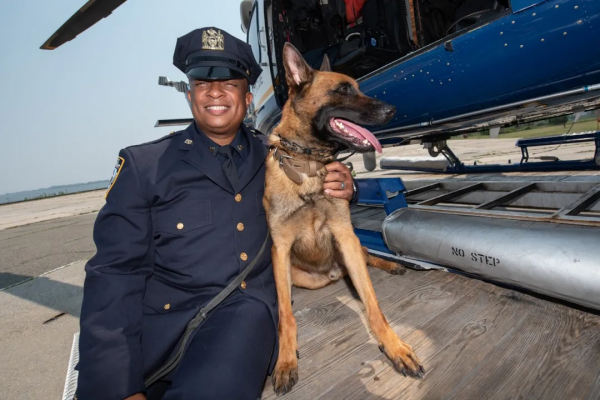 萌化了!2022年紐約警犬日曆,感謝守護城市的小英雄們 萌化了!2022年紐約警犬日曆,感謝守護城市的小英雄們