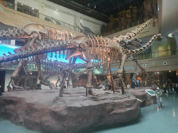 億萬年前的繁榮 億萬年前的繁榮