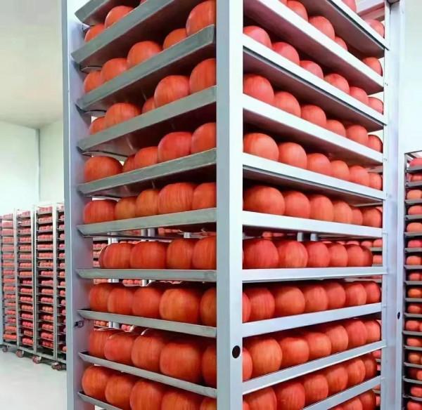 當下國貨品牌更需要央視媒體展播支援