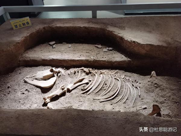 漢EV自駕新疆,木壘博物館最有意思的是錢幣按照朝代分別給你展現 漢EV自駕新疆,木壘博物館最有意思的是錢幣按照朝代分別給你展現