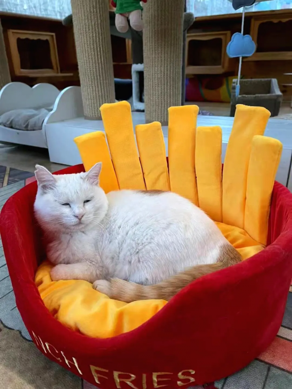 我 · 美食博主 · 觀復煎蛋