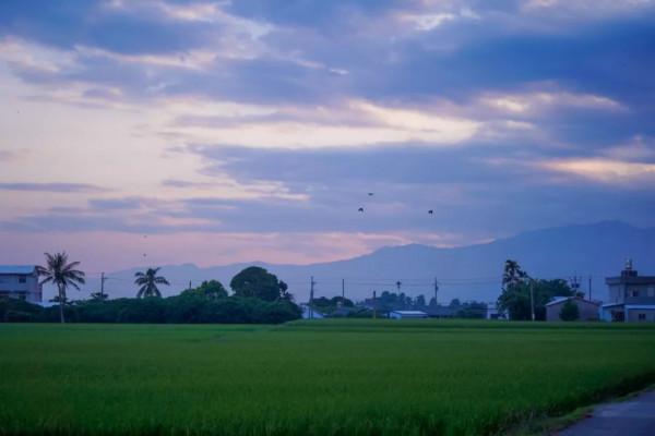 快2022年了，你怎麼還在用黑白屏手機？