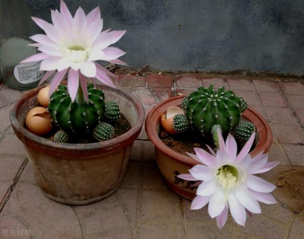 活在這世上,一定要明白這個道理:靠人不如靠己 活在這世上,一定要明白這個道理:靠人不如靠己