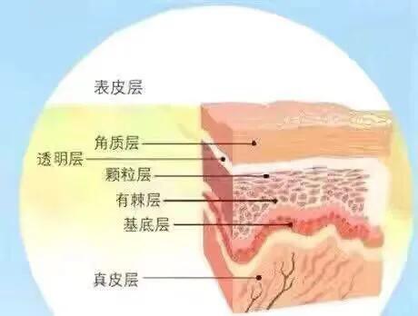 人們不要把二期梅毒“銀屑病樣疹”,誤認為銀屑病 人們不要把二期梅毒“銀屑病樣疹”,誤認為銀屑病