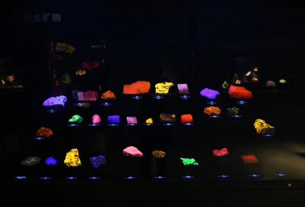 白堊紀山東恐龍全揭秘，山東博物館備齊大展迎春節