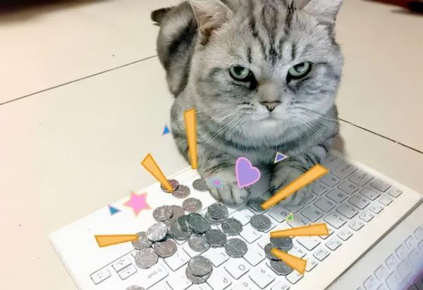 一入採購深似海,從此週末是路人 一入採購深似海,從此週末是路人