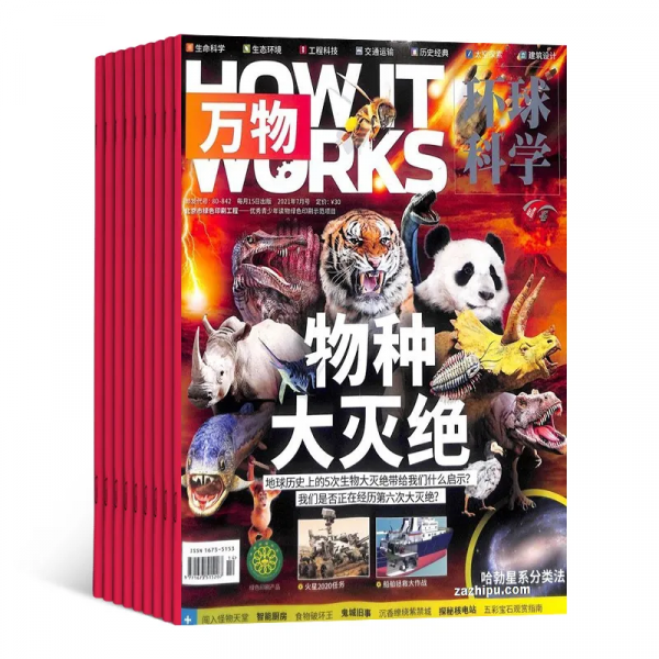 不要把孩子的知識黃金期,耗費在低層次的閱讀上 不要把孩子的知識黃金期,耗費在低層次的閱讀上