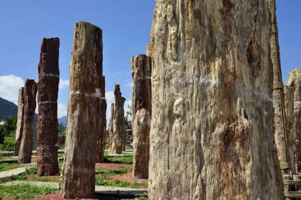 木頭居然能變成玉石！還標價10億人民幣？