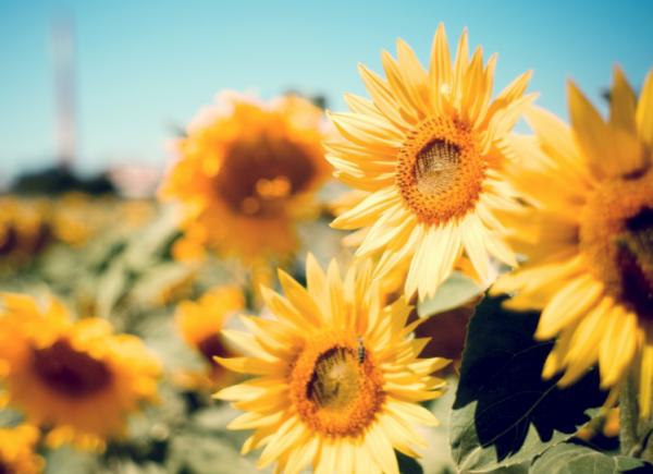 明天起,4個星座大度寬容,不斤斤計較,生活好轉,幸福指數上升 明天起,4個星座大度寬容,不斤斤計較,生活好轉,幸福指數上升