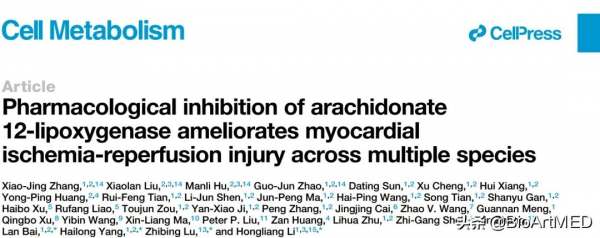 李紅良團隊報道心肌缺血再灌注損傷新的藥物干預靶點—ALOX12
