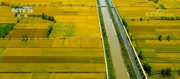 我國糧食產量再創新高 連續7年保持在1.3萬億斤以上