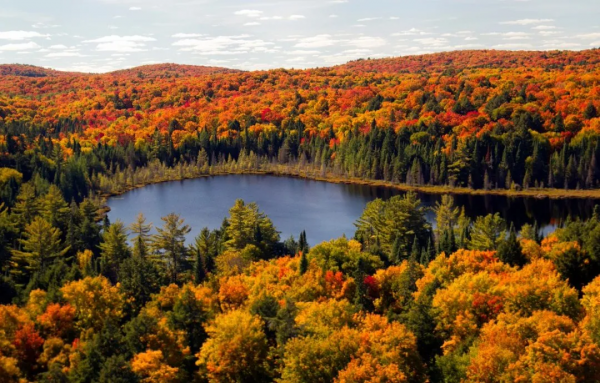 秋天到~ 加拿大的楓葉季太美啦！絕美賞楓地點推薦