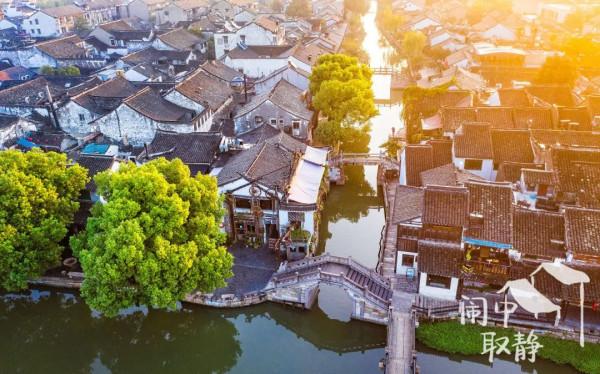 【探索】在長三角一體化示範區，尋找秋天的色彩