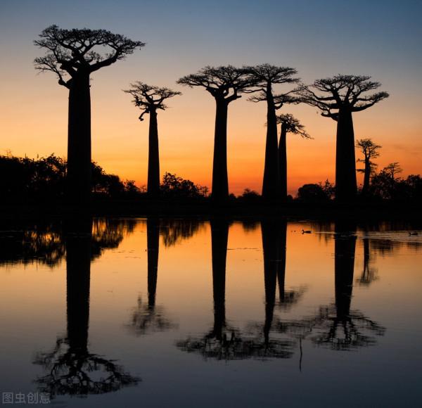 非洲唯一黃面板國家“馬達加斯加”的20個冷知識，你知道幾個？