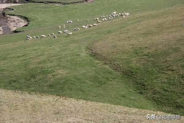 分享一組關山牧場的原生態秋景 分享一組關山牧場的原生態秋景