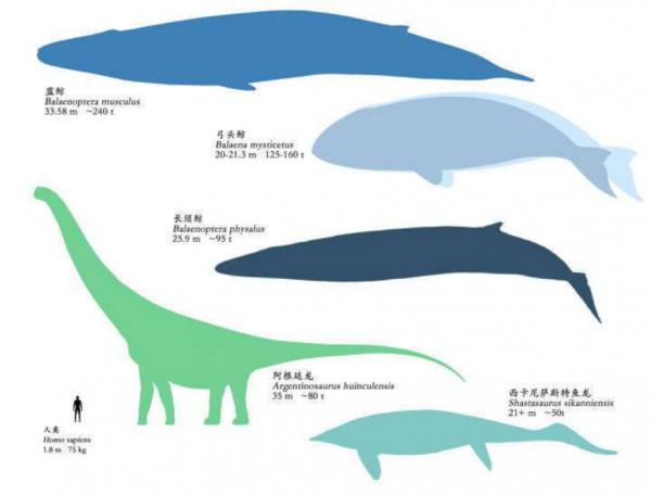 一朵雲可重達500噸，為何可以輕易地漂浮在空中，不會掉落？