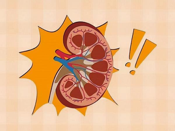 什麼是慢性間質性腎炎?如何科學防治? 什麼是慢性間質性腎炎?如何科學防治?