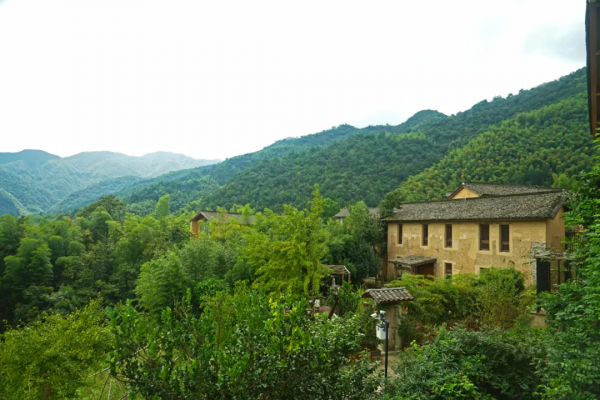 700年神秘古村落意外走紅！霧海竹林萬畝，24h鮮氧環繞，宛若仙境