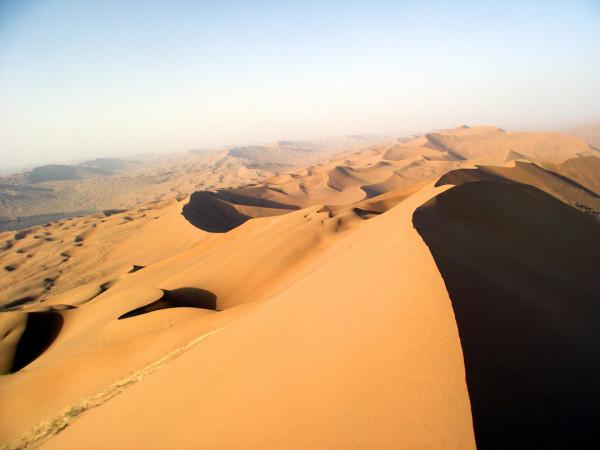 在沙漠裡再渴也別隨地採食“西瓜”,科學家:救命隨時會變喪命 在沙漠裡再渴也別隨地採食“西瓜”,科學家:救命隨時會變喪命