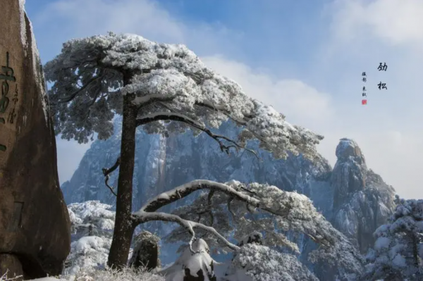 乾貨攻略 &vert; 7個國內冬季絕美旅遊景點，建議趕緊收藏