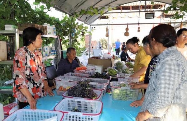 紫輝生態 碩果累累 紫輝生態 碩果累累